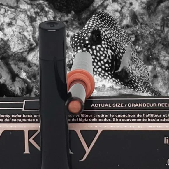 Coral Lip Liner - Mary Kay - Recently Discontinued - Picture 5 of 6